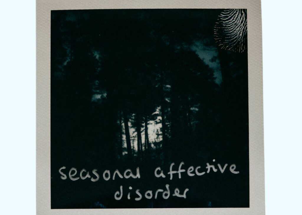 An image showing a darkened wooded area with the text "seasonal affective disorder"